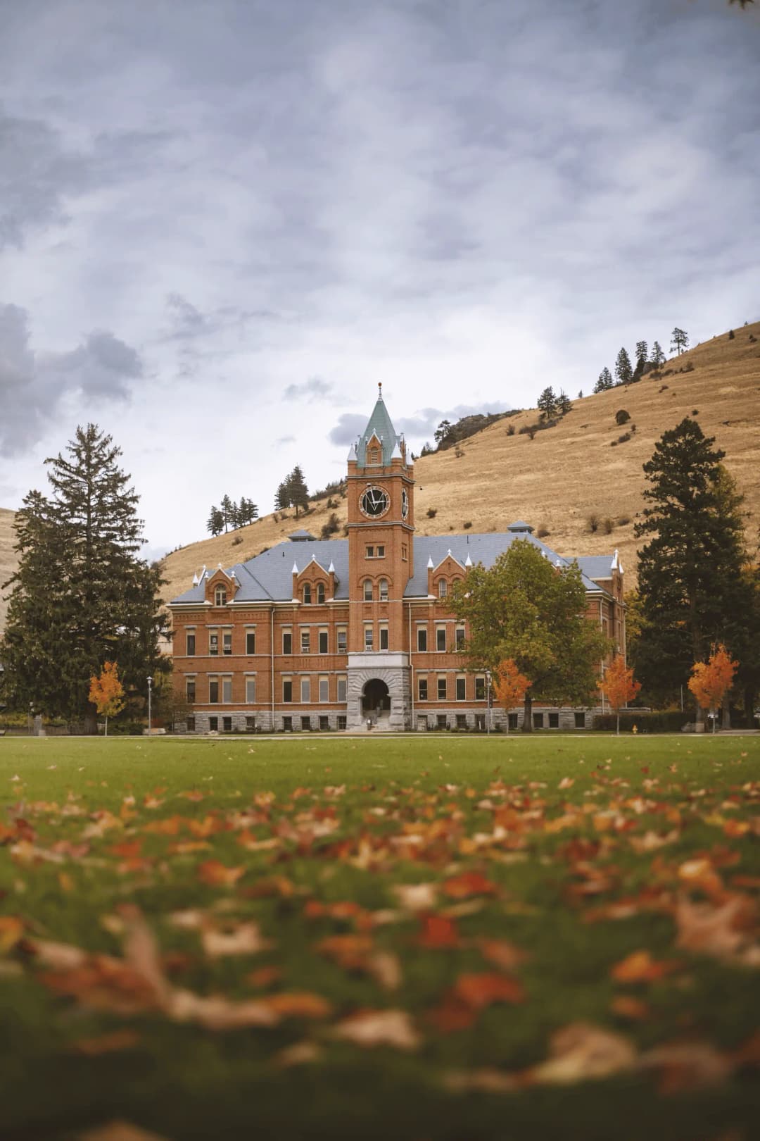 100% Free Access related image